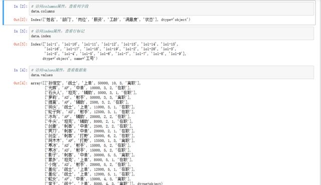 怎么用Python数据分析员工们的工作效率和整体满意度