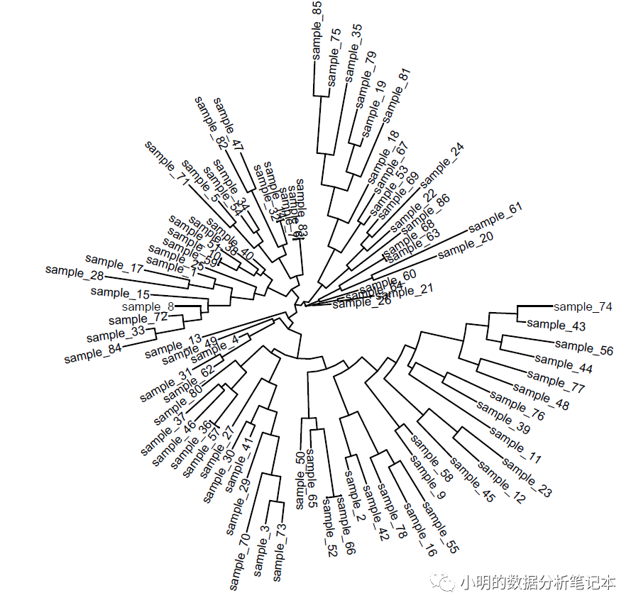 如何使用R语言利用SSR数据构建进化树