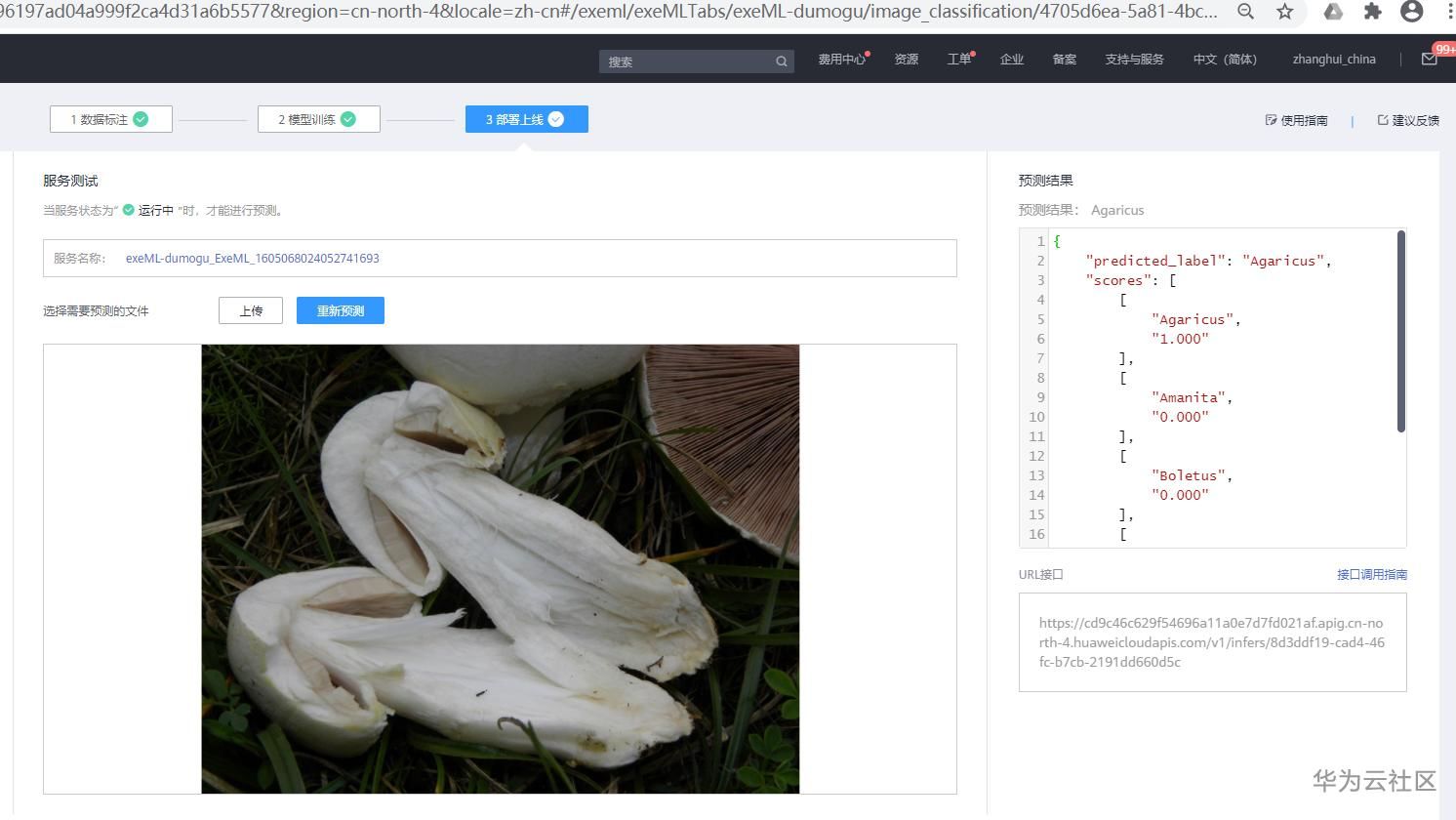如何使用ModelArts的自动学习识别毒蘑菇分类