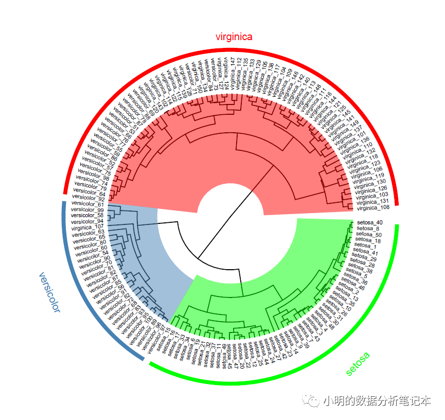 R语言中怎么用ggtree画圆形的树状图展示聚类分析的结果