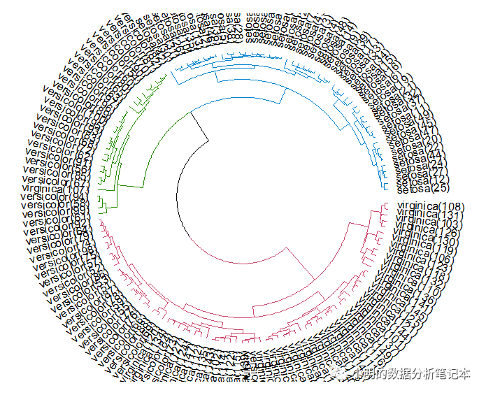 R语言中怎么用ggtree画圆形的树状图展示聚类分析的结果