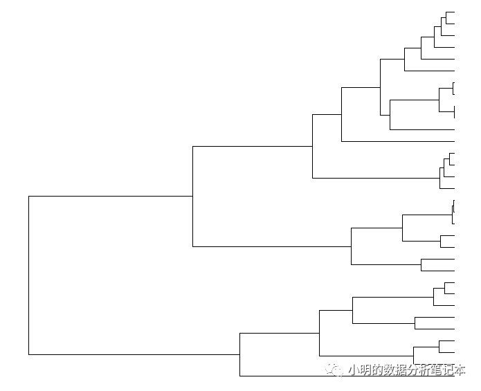 R语言中怎么用ggtree画圆形的树状图展示聚类分析的结果