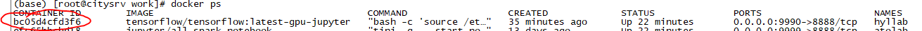 Docker部署tensorflow-gpu-jupyterlab的过程