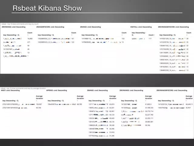 如何用Elastic来诊断下redis slowlog