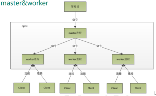 nginx中master和worker有什么作用