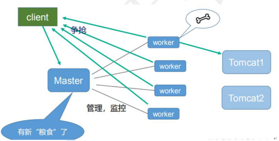 nginx中master和worker有什么作用
