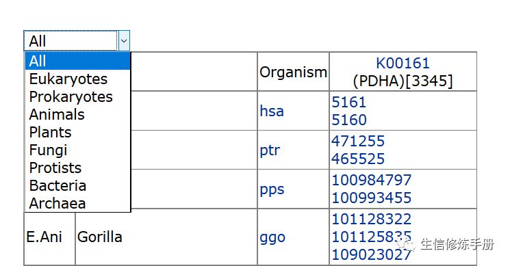 如何理解KEGG Orthology数据库