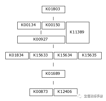 KEGG Module 数据库的原理是什么