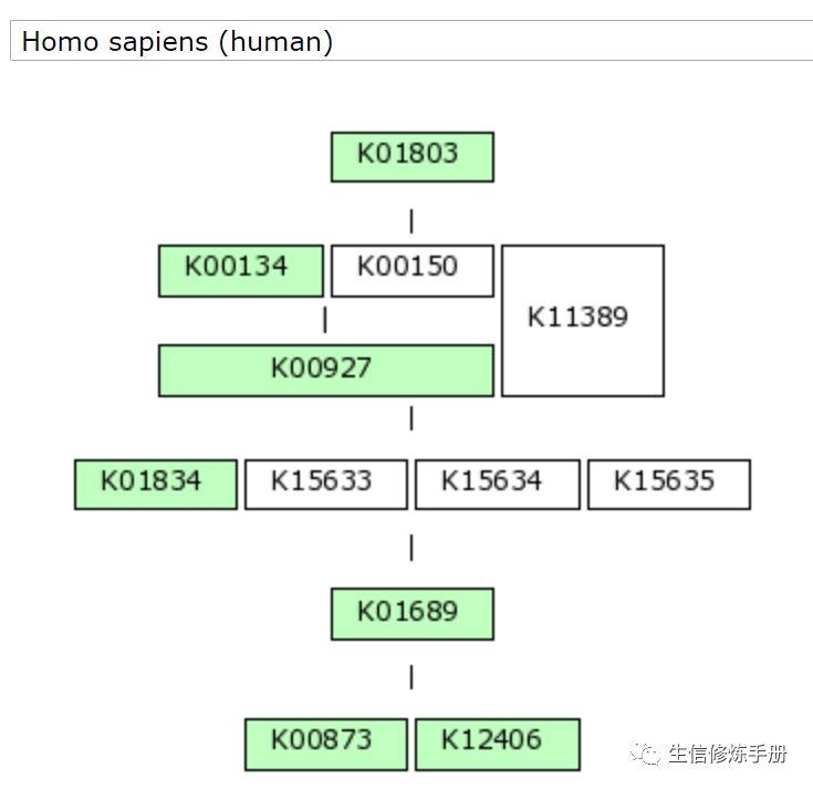 KEGG Module 数据库的原理是什么