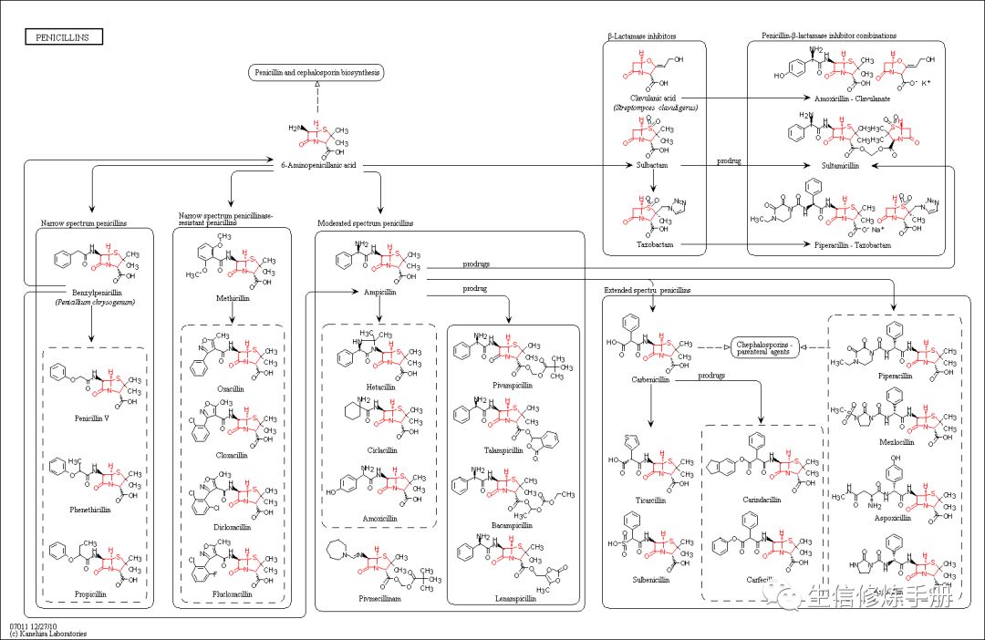 如何分析KEGG Drug 数据库