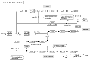 KEGG Glycan 数据库的原理是什么