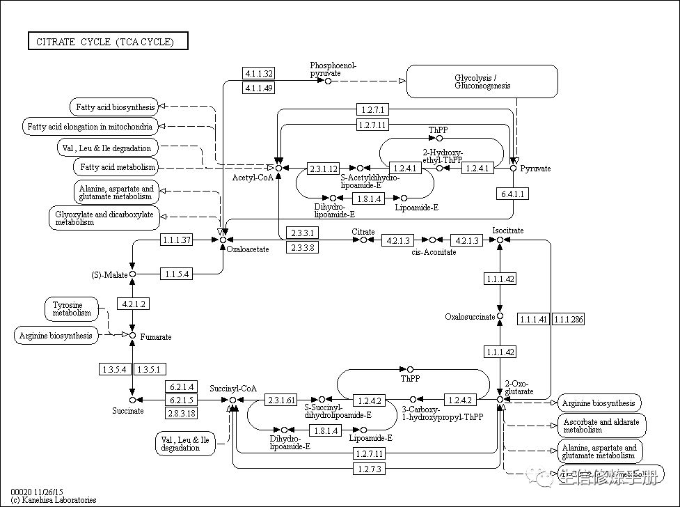 KEGG pathway 数据库的原理是什么