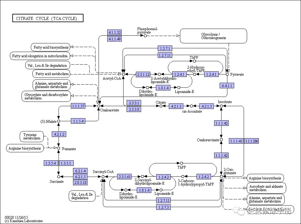 KEGG pathway 数据库的原理是什么