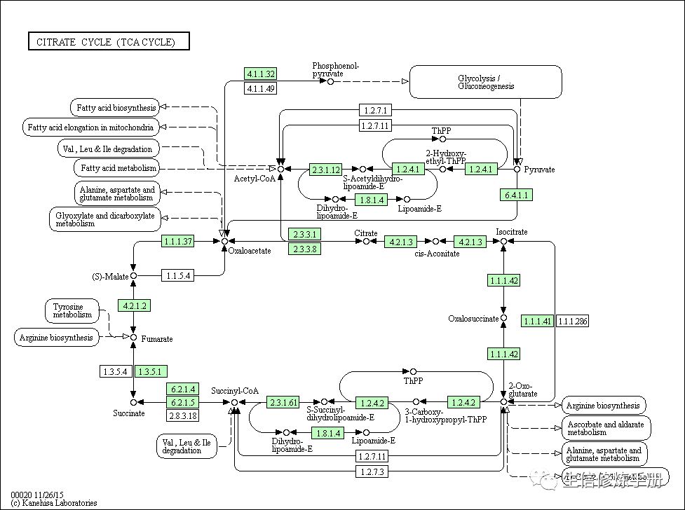 KEGG pathway 数据库的原理是什么