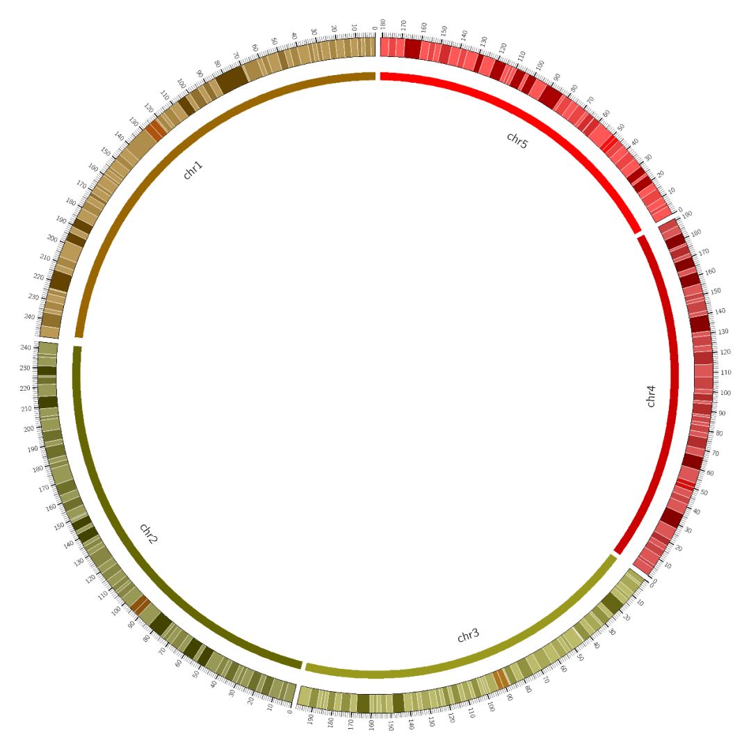 circos染色體技巧有哪些