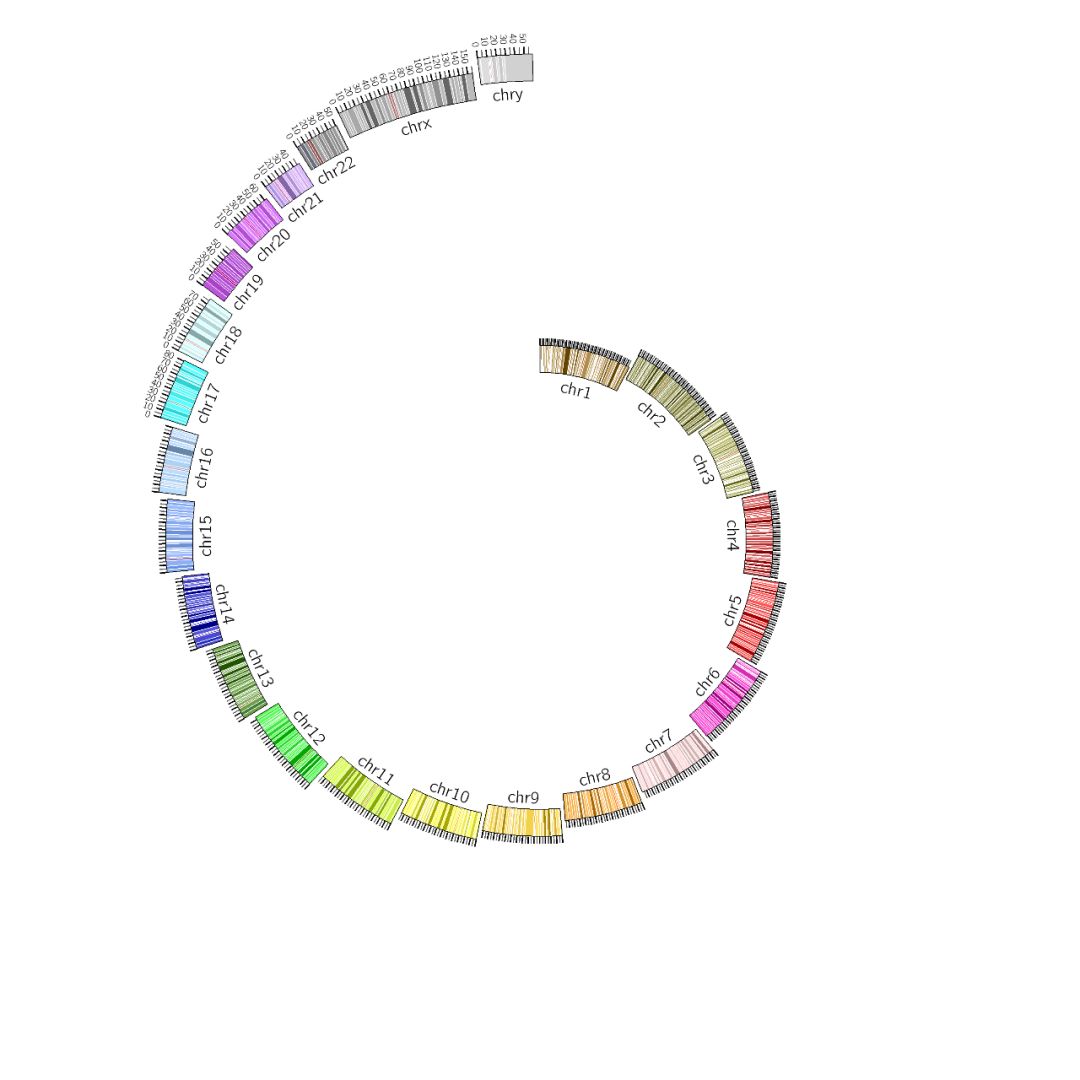 circos染色體技巧有哪些