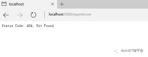 ASP.NET Core 中如何使用Diagnostics中间件