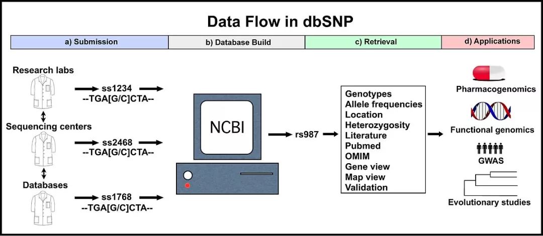dbSNP数据库的简单介绍
