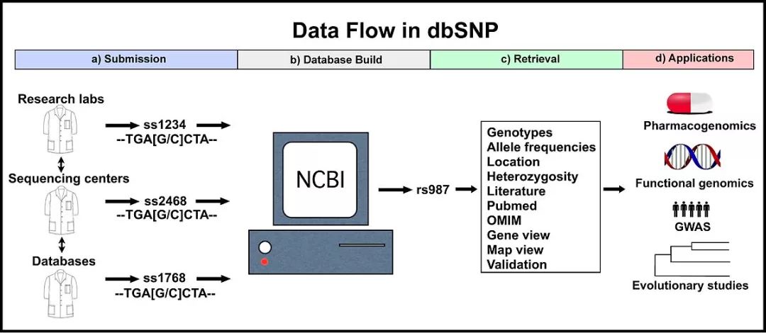 dbSNP數(shù)據(jù)庫(kù)的簡(jiǎn)單介紹