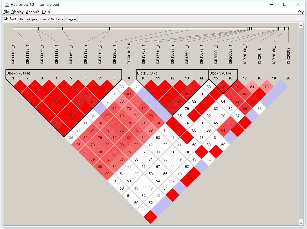 haploview怎样进行连锁不平衡分析