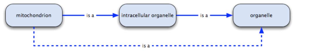 Gene Ontology數(shù)據(jù)庫有什么用