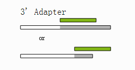 cutadapt如何去除adapter序列