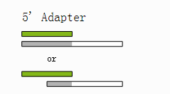 cutadapt如何去除adapter序列