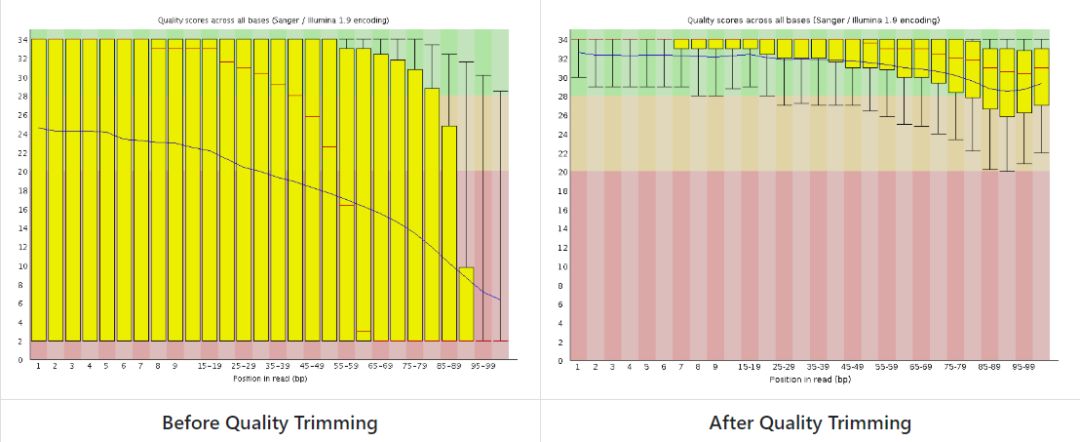 怎么使用trim_galore对NGS数据进行质量过滤