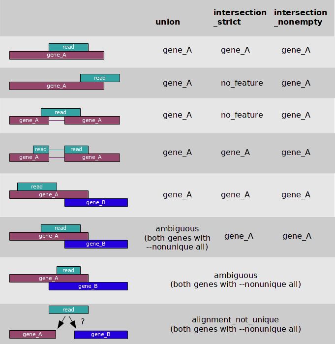 htseq-count中怎么实现定量分析操作