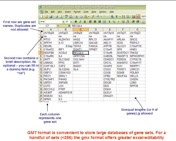 GSEA软件的使用方法是什么