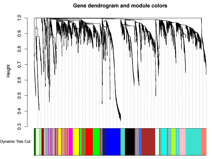 WGCNA怎么挖掘潜在的共表达基因