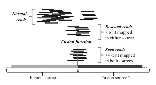 FusionMap中怎么检测融合基因