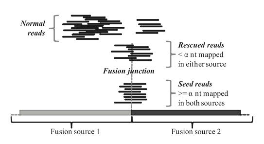 FusionMap中怎么檢測融合基因