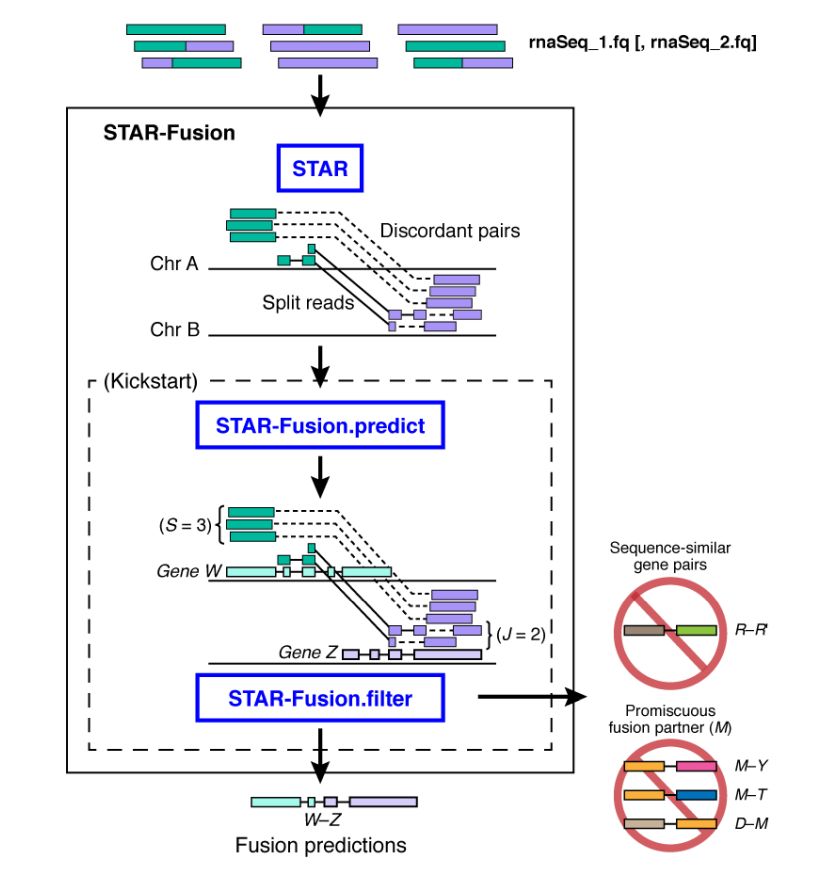 STAR-fusion中怎么实现融合基因操作