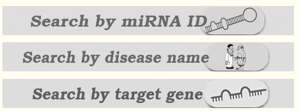 mir2disease數(shù)據(jù)庫有什么用