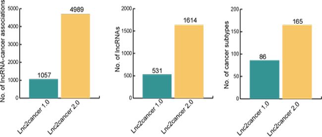 lnc2Cancer数据库有什么用