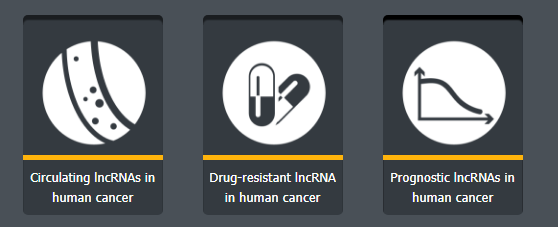 lnc2Cancer数据库有什么用