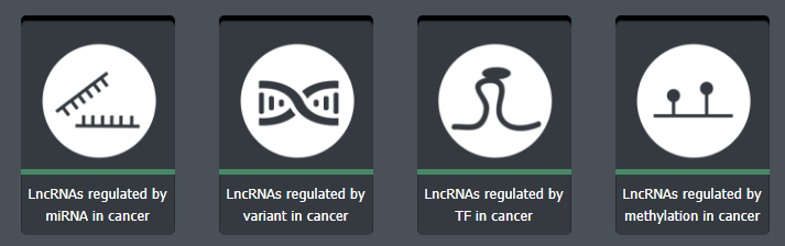 lnc2Cancer数据库有什么用