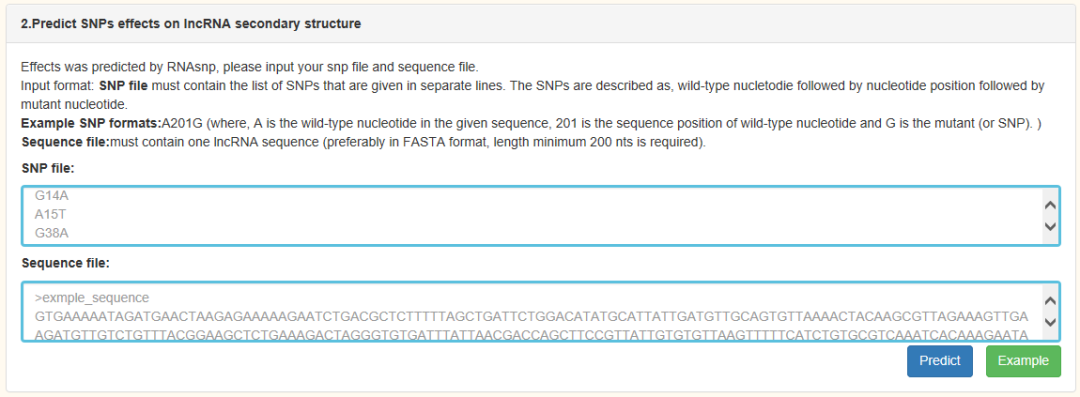 lncRNASNP数据库有什么用