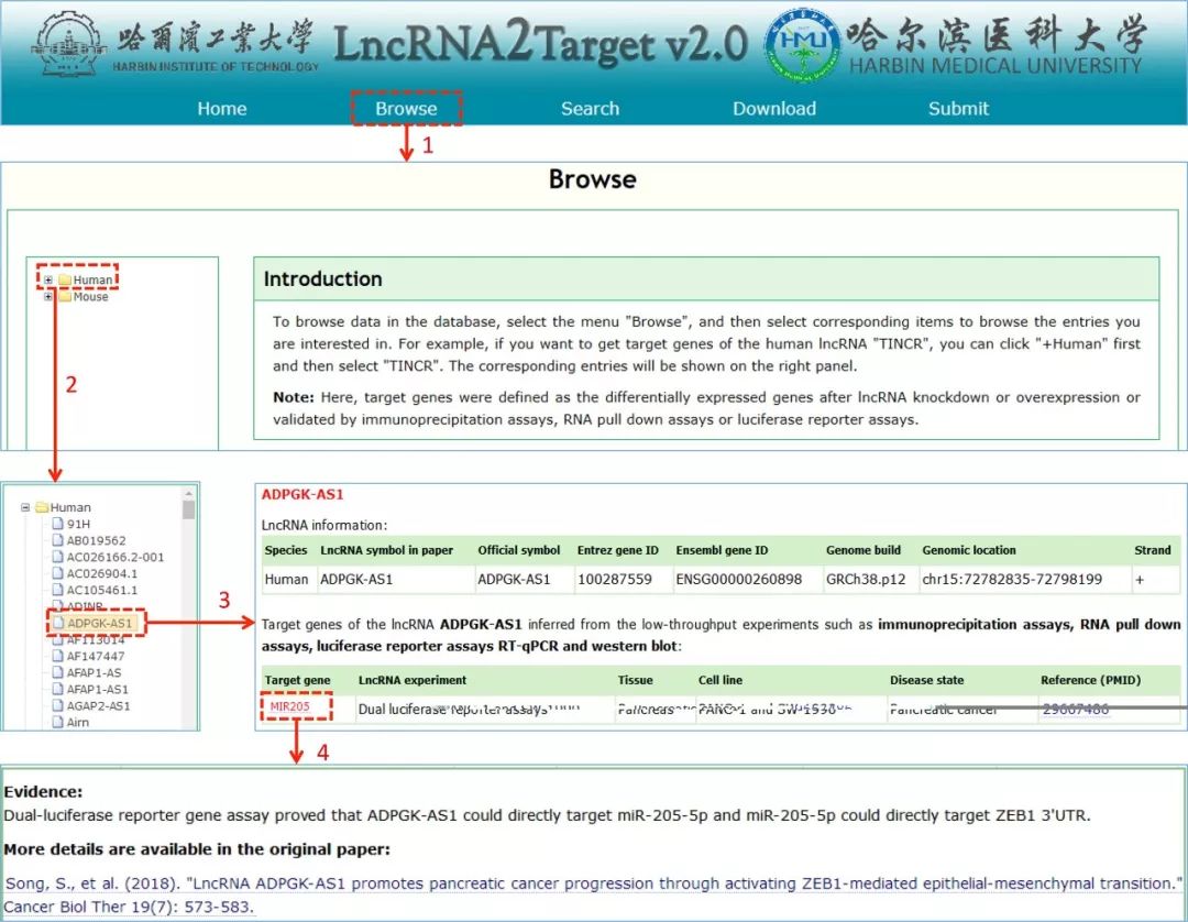 LncRNA2Target数据库有什么用