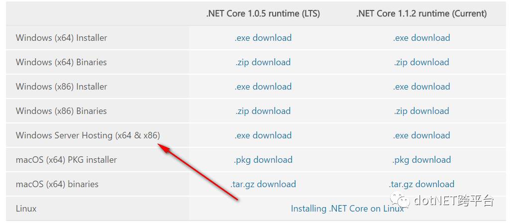 Asp.Net Core 中怎么发布到IIS