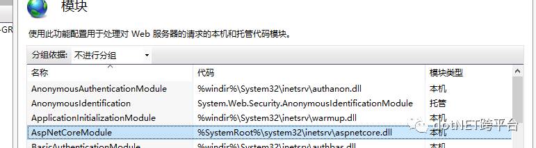 Asp.Net Core 中怎么发布到IIS