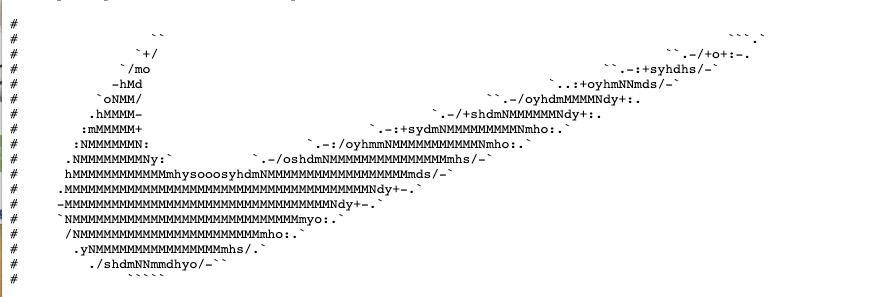 python代码注释的技巧有哪些