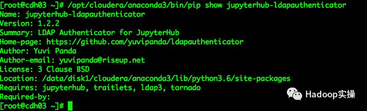 JupyterHub中如何与OpenLDAP服务集成。