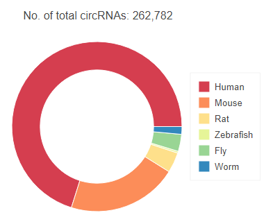 CIRCpedia数据库怎么用