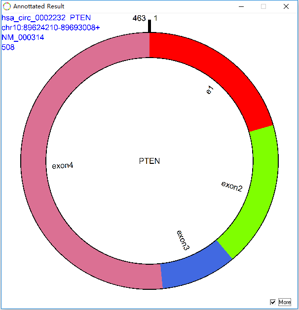 circPrimer中環(huán)狀RNA注釋和引物設(shè)計(jì)工具的示例分析