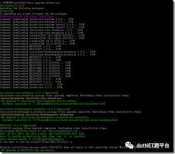 怎么通过Chocolatey软件包管理器安装.NET Core