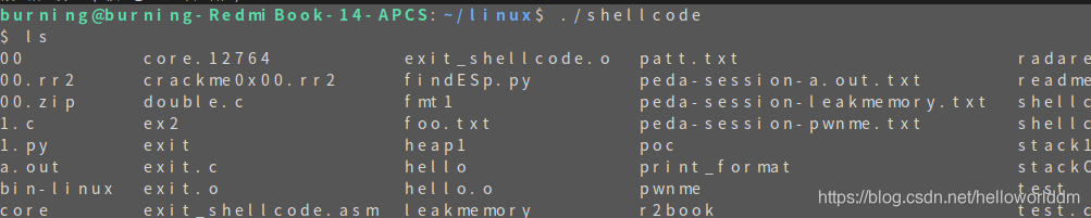 shellcode如何编写Linux