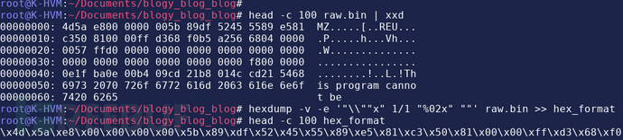 通用Shellcode加載器怎么用