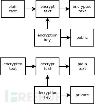 如何使用RSA加密在Python中逆向shell